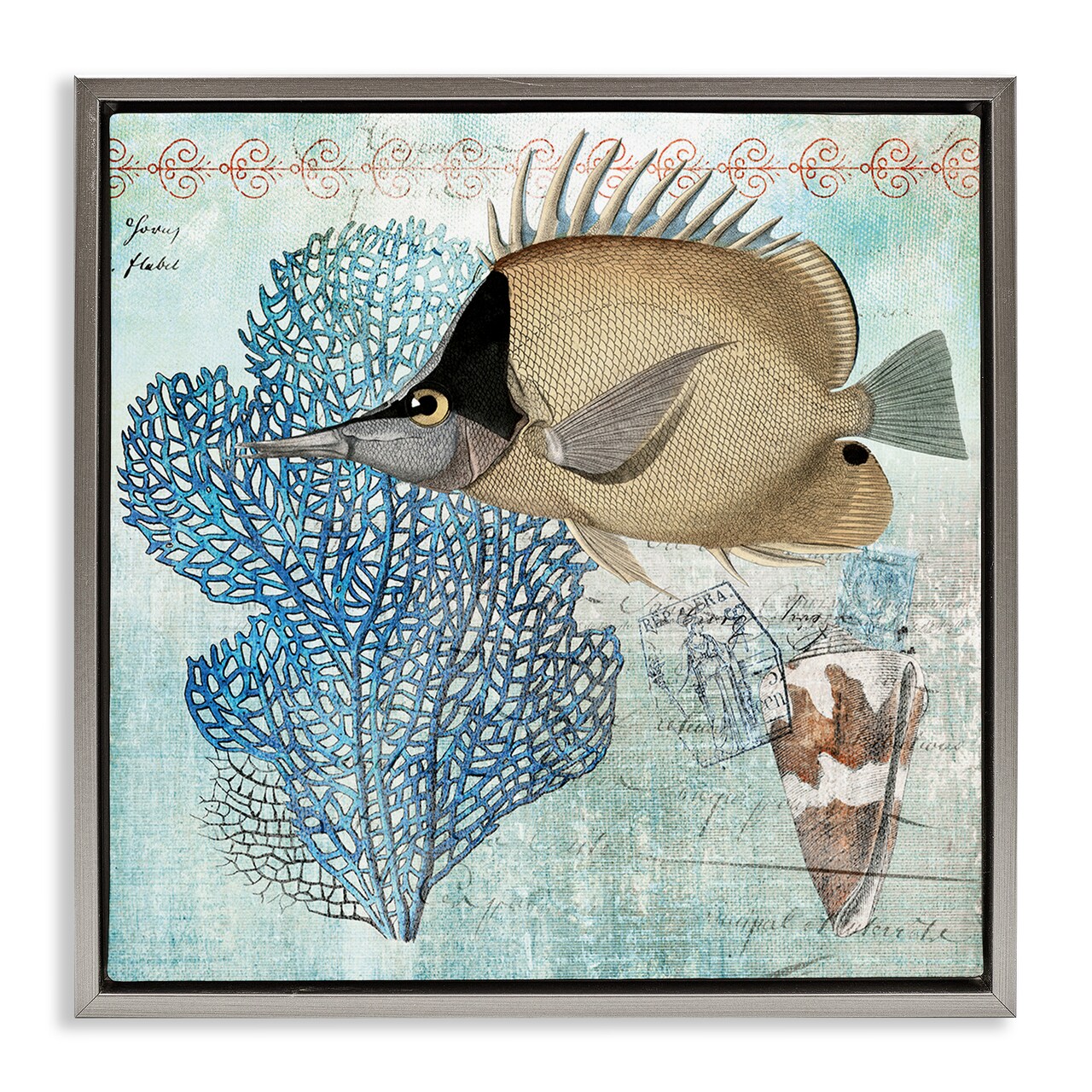 Stupell Industries Vintage Style Sea Life Floating Frame By Susan Arnot